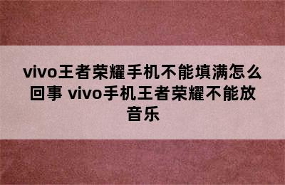 vivo王者荣耀手机不能填满怎么回事 vivo手机王者荣耀不能放音乐